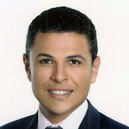Mr. Mohamed Aref Ahmed